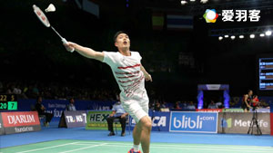 稳胆担当 稳胆担当