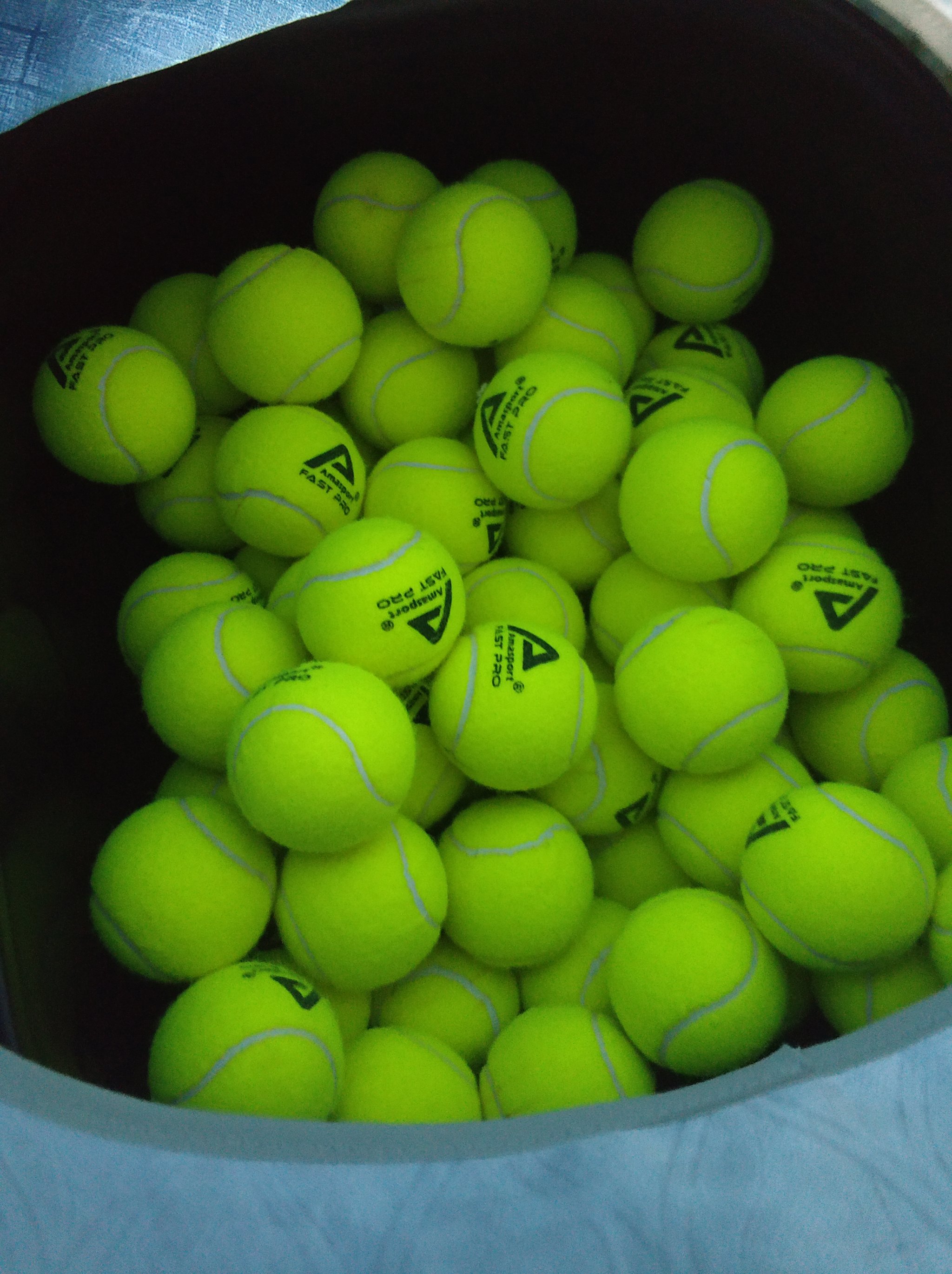 年运动会自 年运动会自