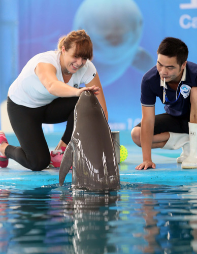 这份合同将 这份合同将