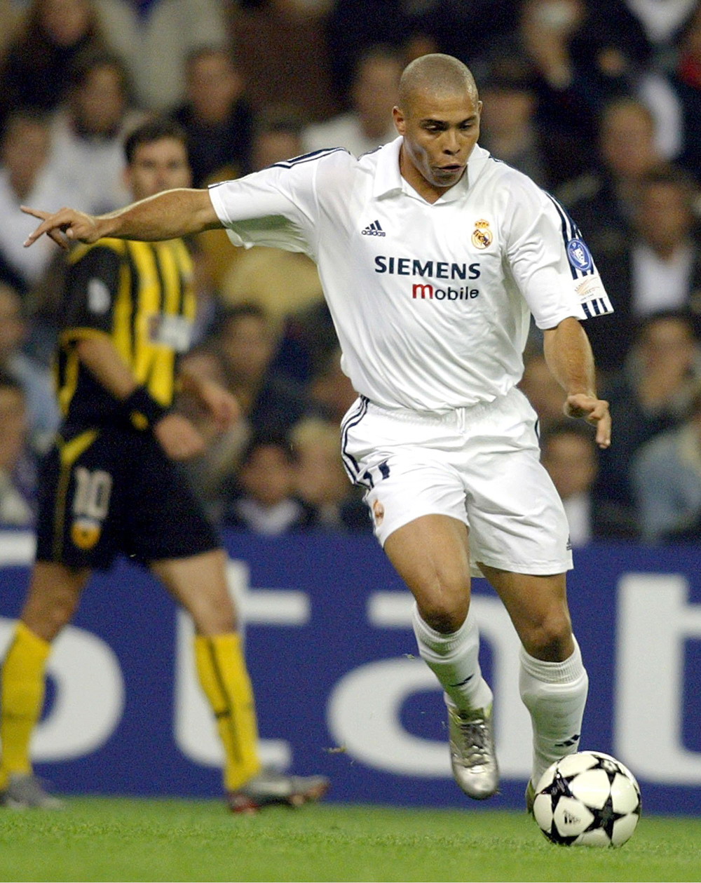 的组合工程 的组合工程